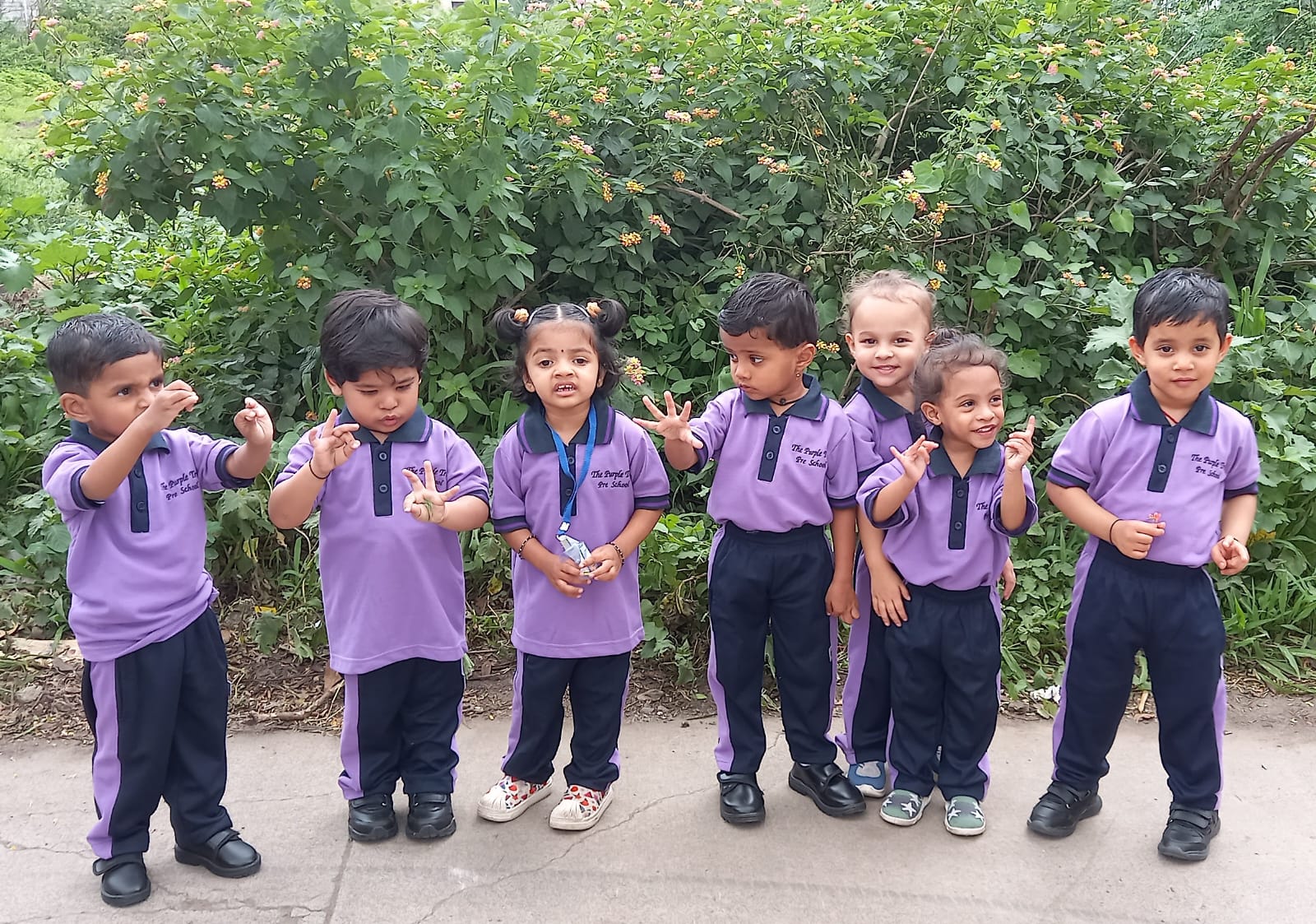 PLAY GROUP(Little Sprouts)